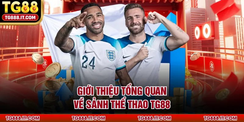 Giới thiệu tổng quan về sảnh thể thao TG88